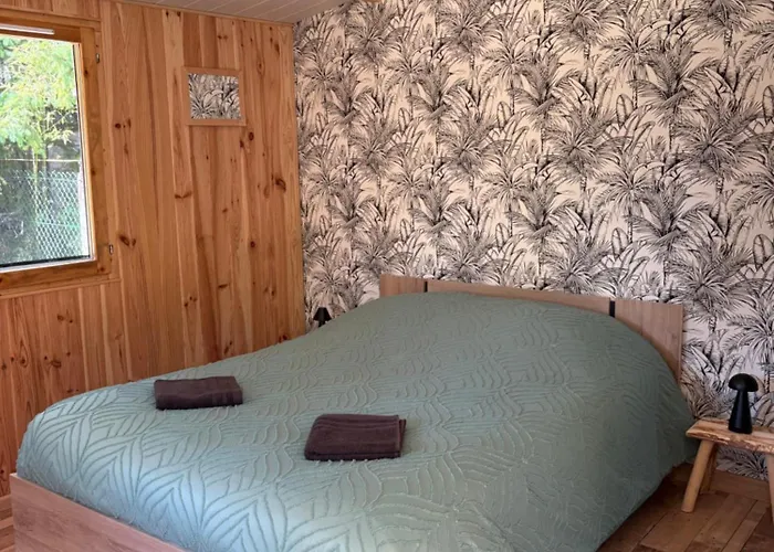 La Savane * Le Gond-Pontouvre